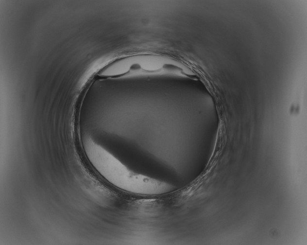 X0000090460054200708031250