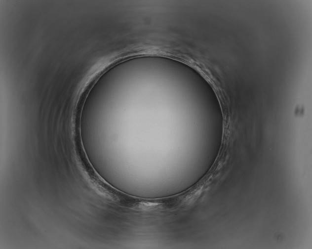 X0000090460055200708031250