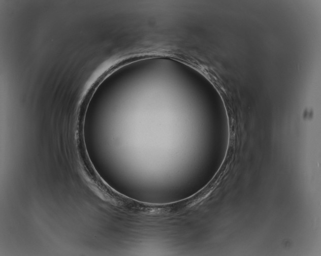 X0000090460056200708031250
