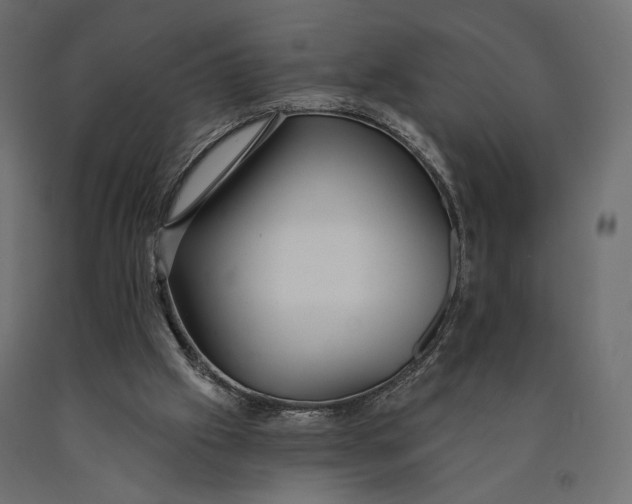 X0000090460057200708031250