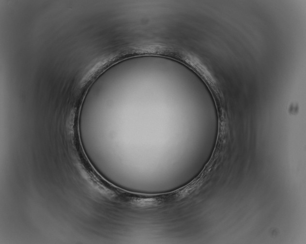 X0000090460058200708031250