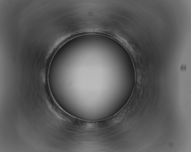 X0000090460060200708031251
