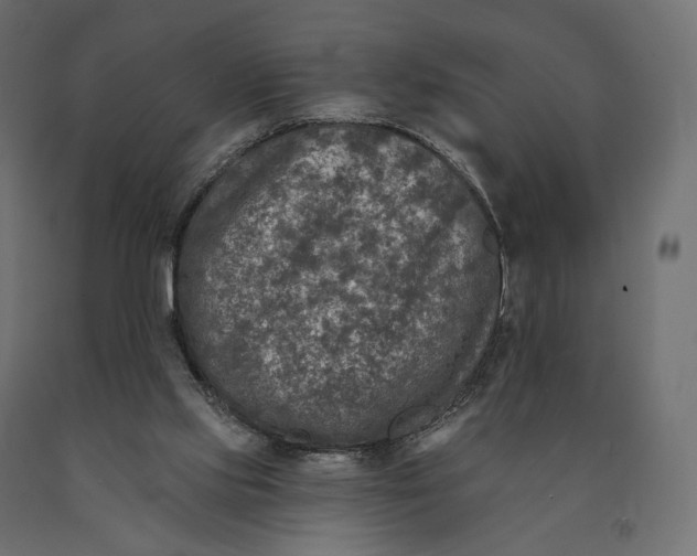 X0000090460061200708031251