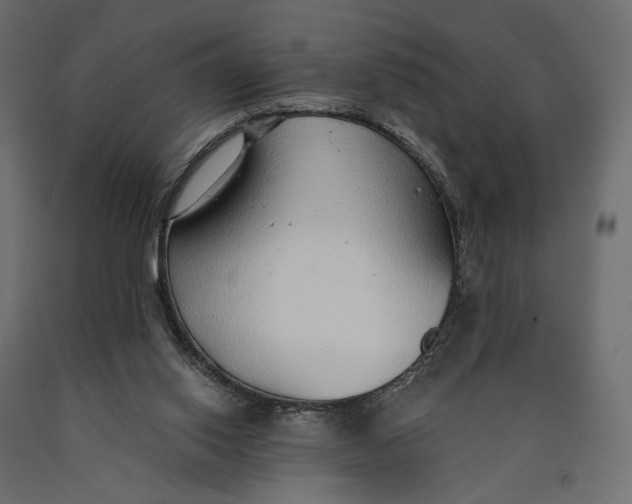 X0000090460062200708031251