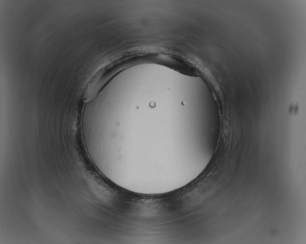 X0000090460063200708031251
