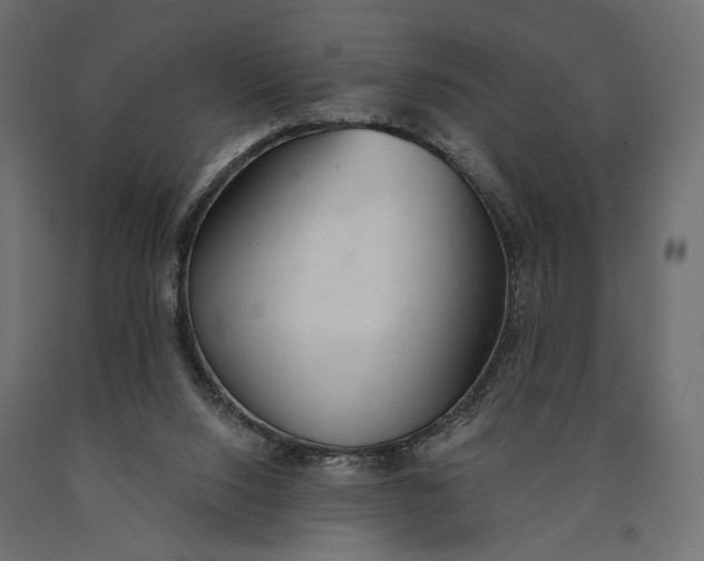 X0000090460064200708031251