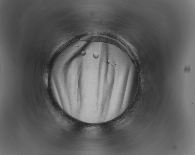 X0000090460067200708031251