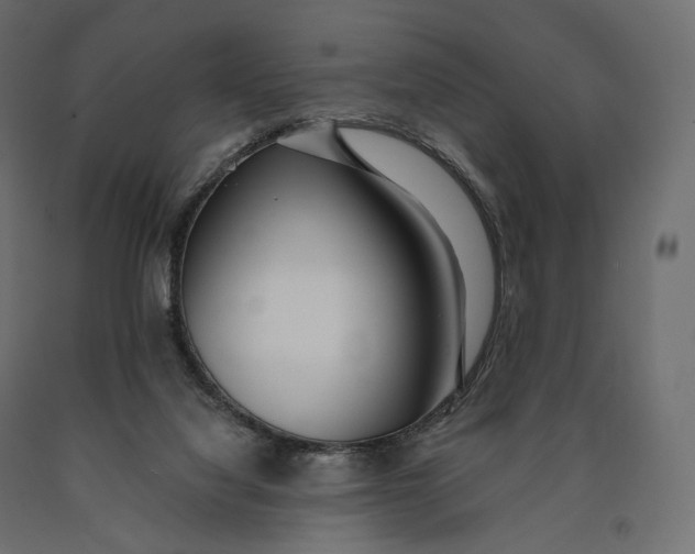X0000090460068200708031251