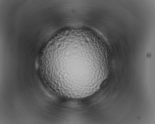 X0000090460069200708031251