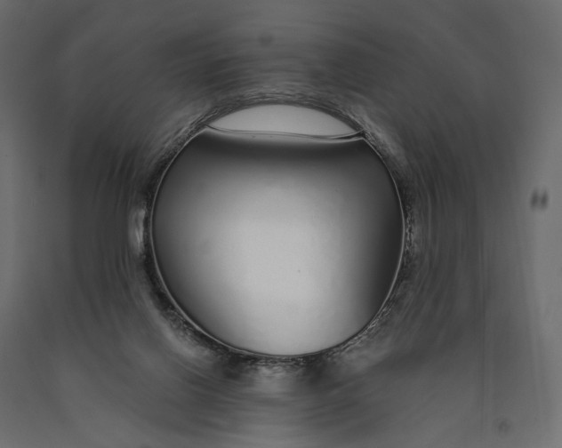 X0000090460070200708031251
