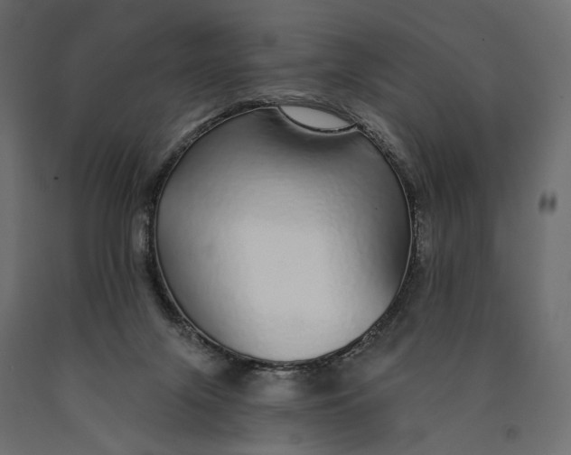 X0000090460071200708031251
