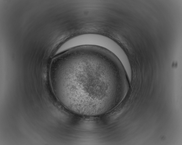 X0000090460072200708031251