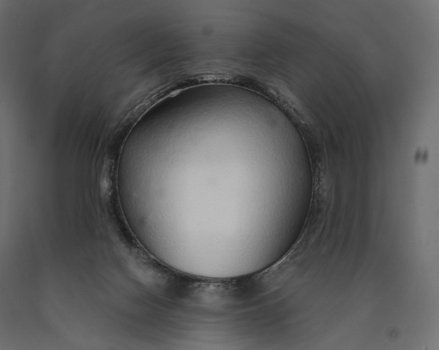 X0000090460074200708031251