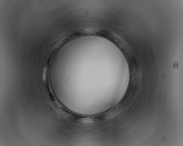 X0000090460075200708031251