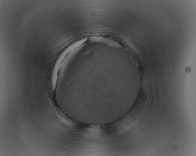 X0000090460076200708031251