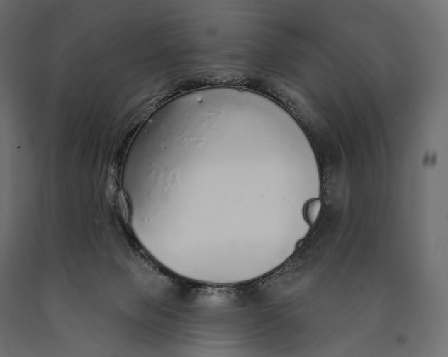 X0000090460077200708031251