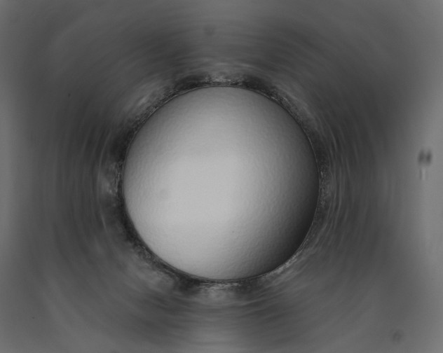 X0000090460078200708031251