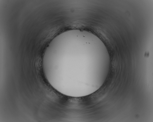 X0000090460079200708031251