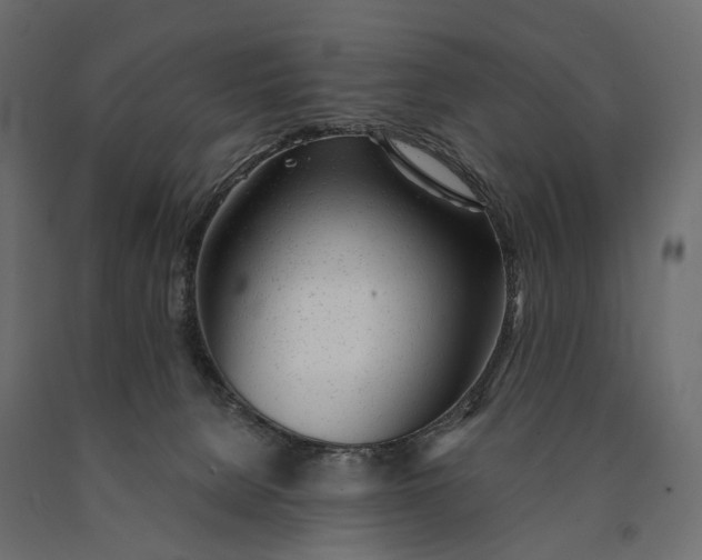 X0000090460080200708031251