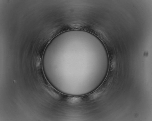 X0000090460081200708031251