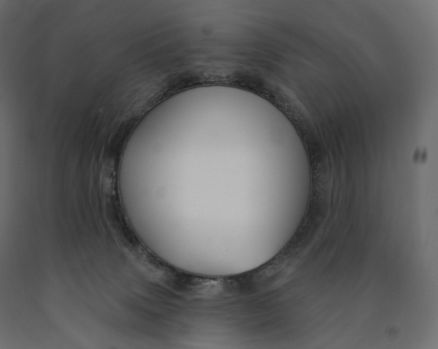 X0000090460083200708031251