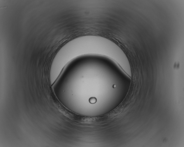 X0000090460084200708031251