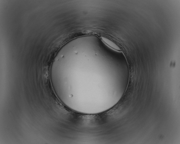 X0000090460085200708031251