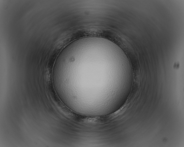 X0000090460086200708031251