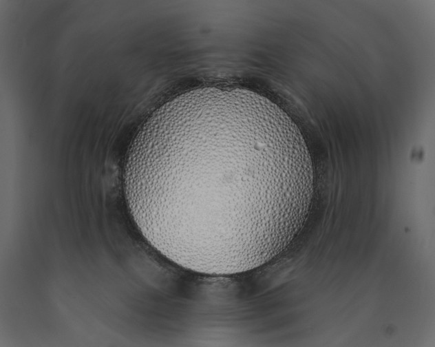 X0000090460087200708031251