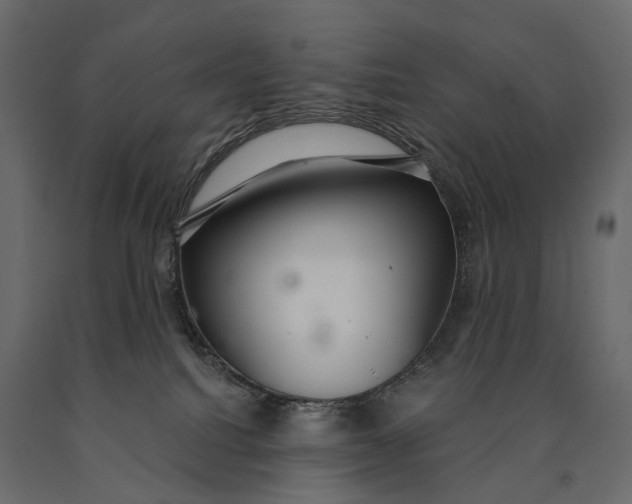 X0000090460088200708031251