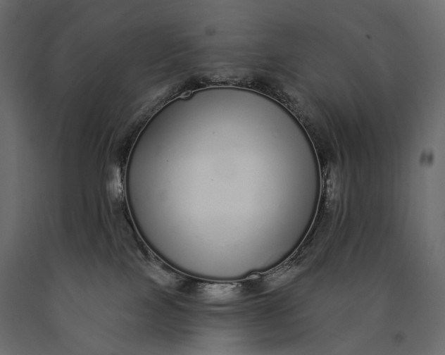 X0000090460089200708031251