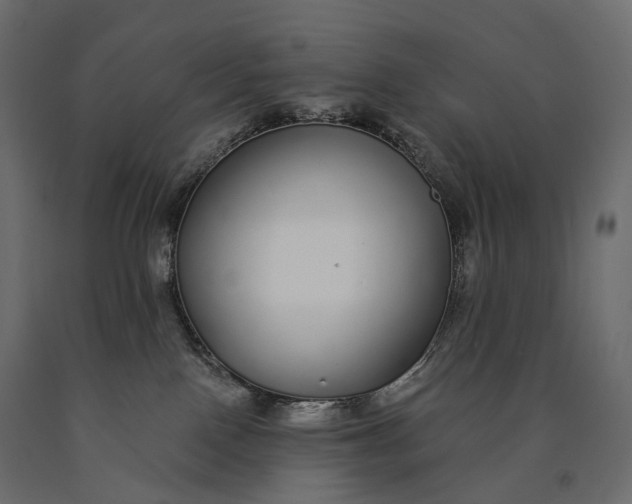 X0000090460090200708031251