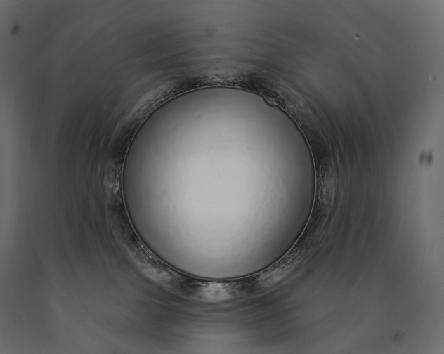 X0000090460091200708031251