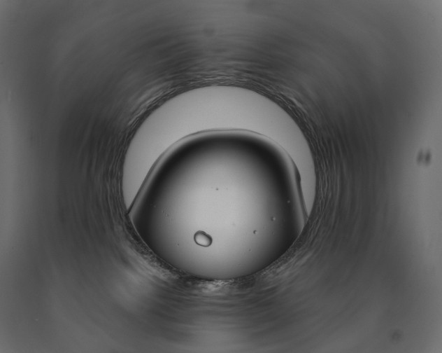 X0000090460092200708031251