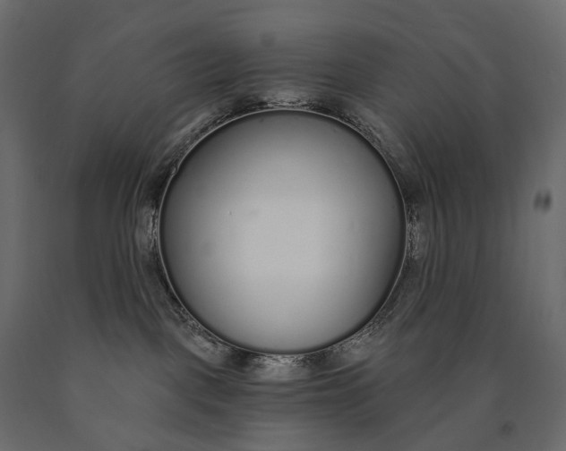 X0000090460093200708031251