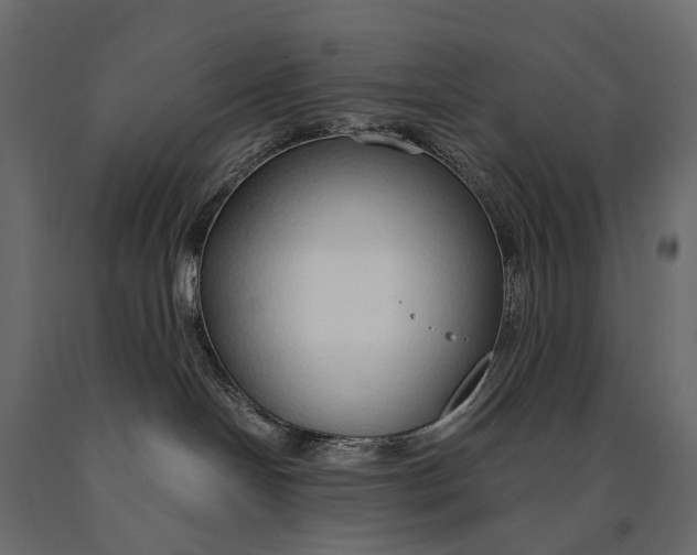 X0000090460094200708031251