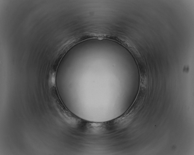X0000090460095200708031251