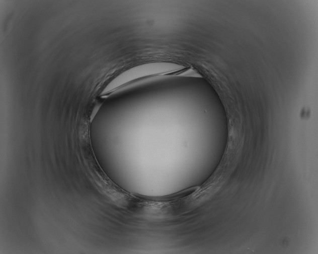 X0000090460096200708031251