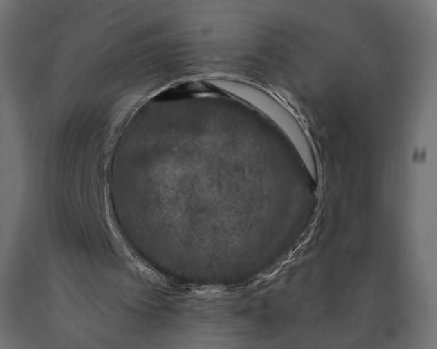 X0000090460097200708031250