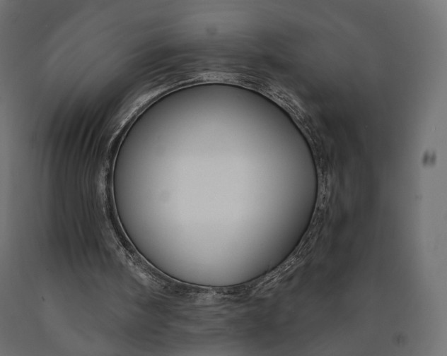 X0000090460098200708031250
