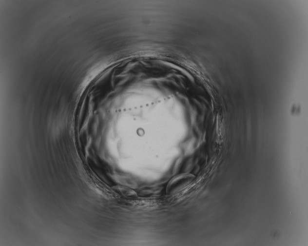 X0000090460099200708031250