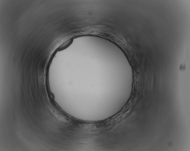 X0000090460100200708031250