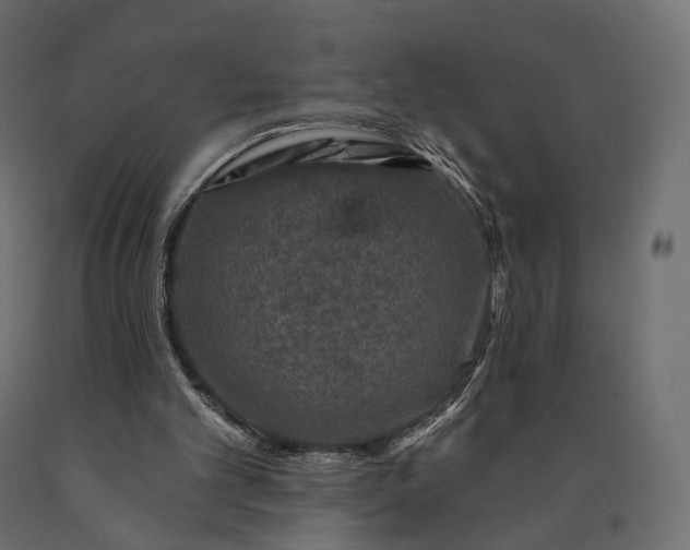 X0000090460101200708031250