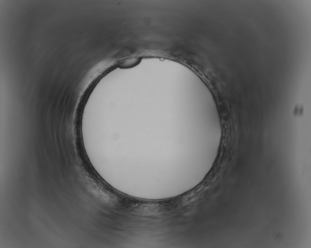 X0000090460104200708031250