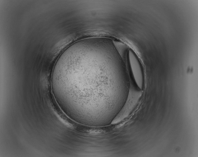 X0000090460105200708031250