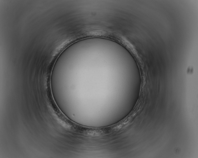 X0000090460106200708031250