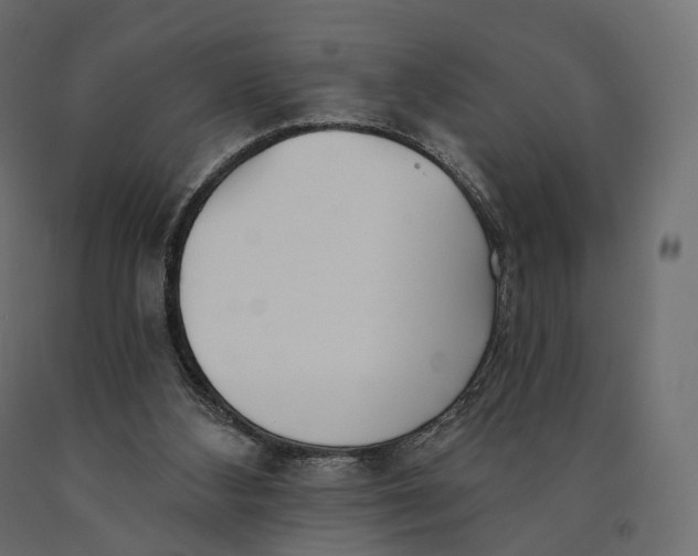 X0000090460108200708031250