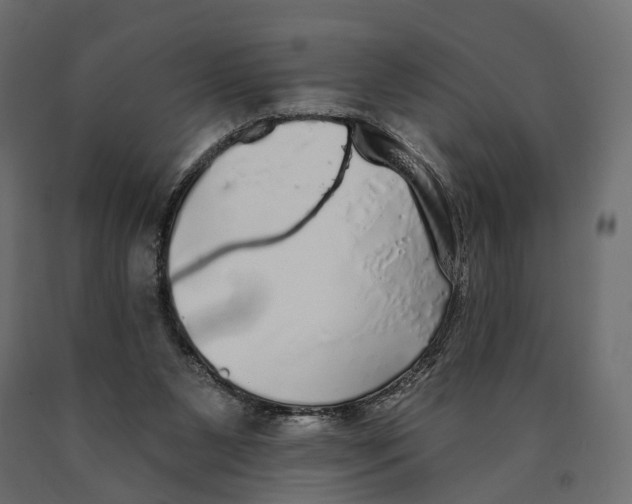 X0000090460111200708031250