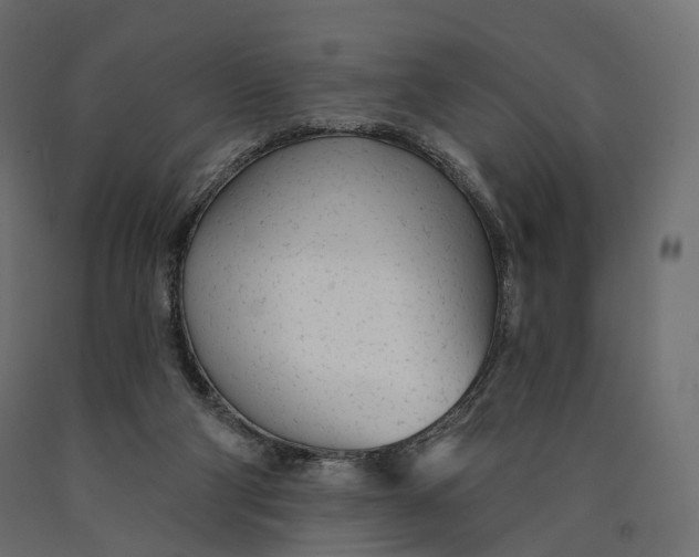 X0000090460114200708031250