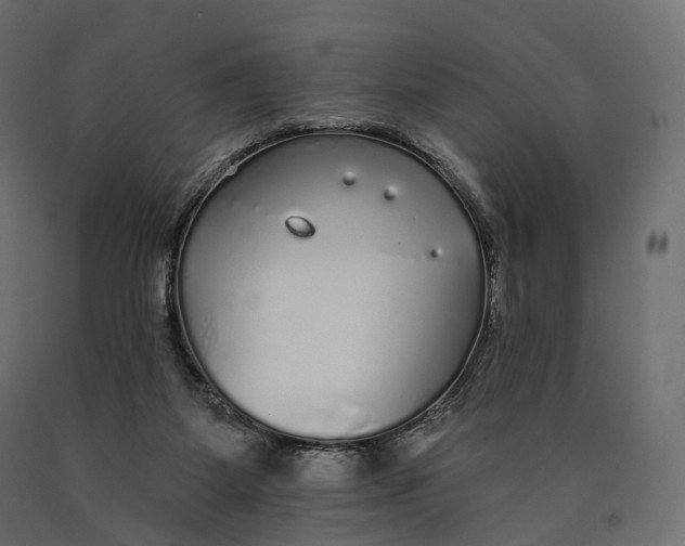 X0000090460115200708031250